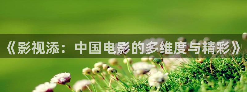 yy影院私人午夜影院：《影视添：中国电影的多维度与精彩》