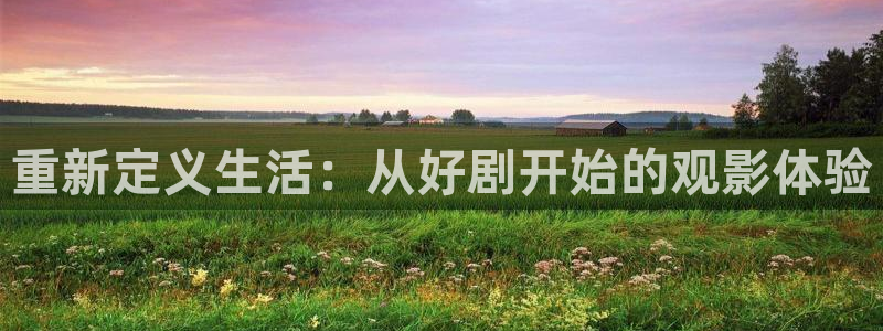 yy影院私人午夜影院：重新定义生活：从好剧开始的观影体验