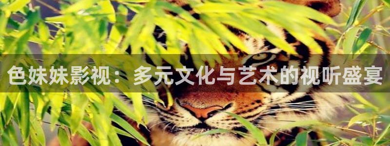 yy影院在线：色妹妹影视：多元文化与艺术的视听盛宴